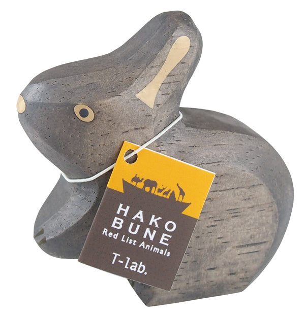 T-Lab. HAKOBUNE Amami Rabbit